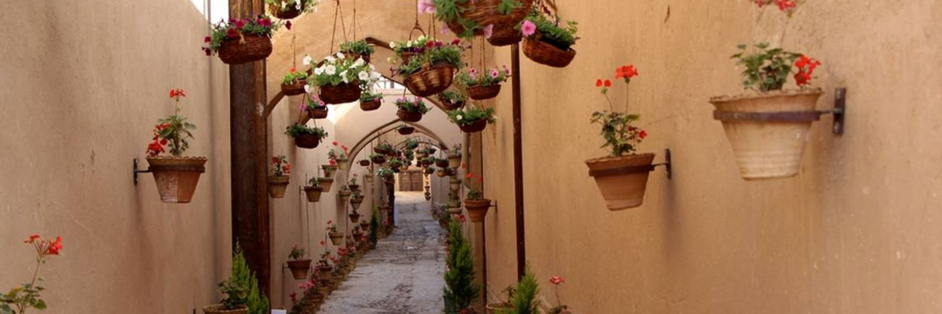 First Responsive Image